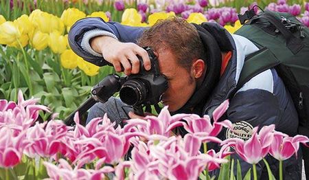 Keukenhof_2