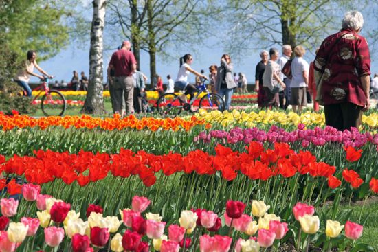 Morges-Tulip-Festival