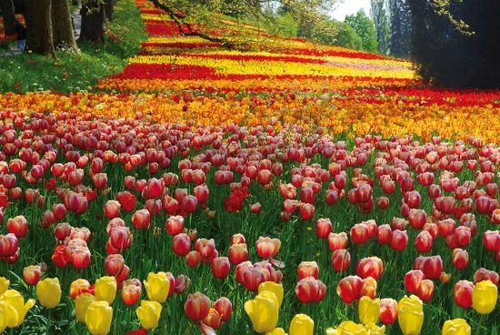 Mainau_2