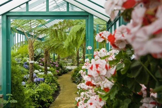 Royal-green-houses-flowers-wbtj.p.remy Royal-green-houses-flowers-wbtj.p.remy