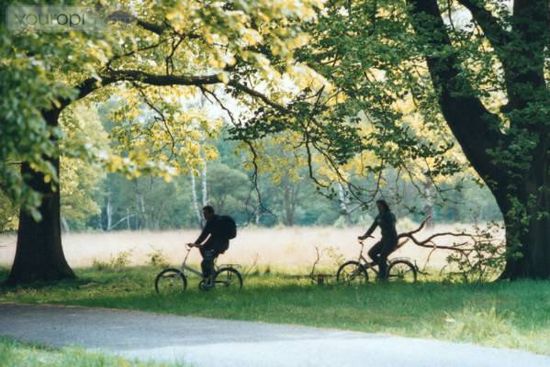 Nationaal-park-hoge-veluwe1