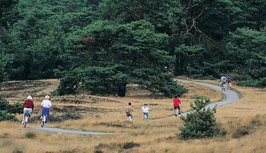 De_hoge_veluwe_3