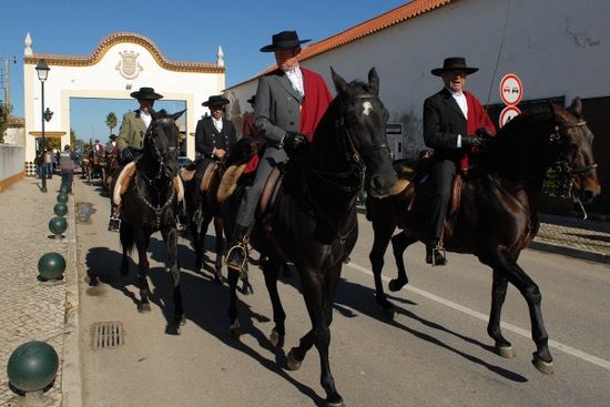 FEIRA NACIONAL DO CAVALO_2