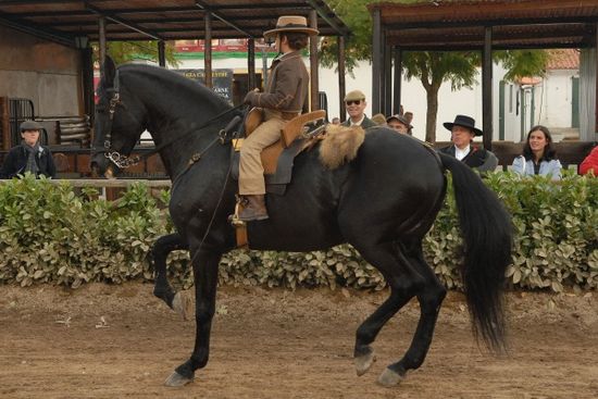 FEIRA NACIONAL DO CAVALO_3