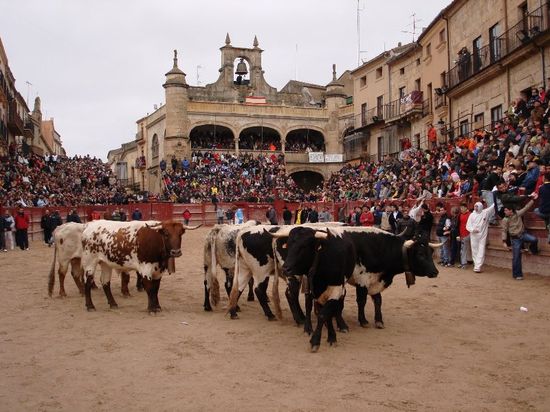 CARNAVAL_DEL_TORO_3