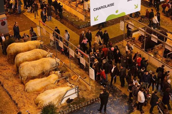 Salon International de l'Agriculture_2