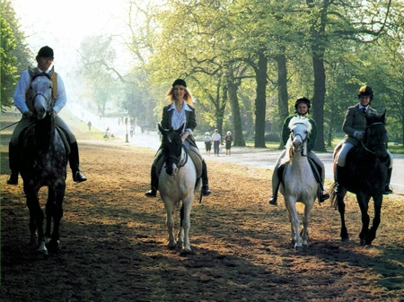 Hyde_park_stables_1