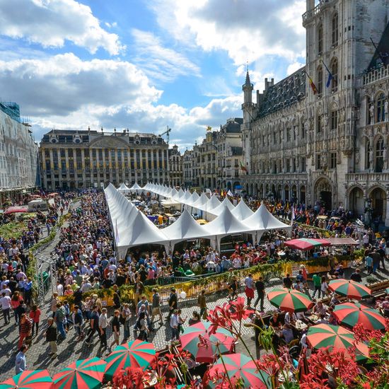 Festival-beer-Belgian