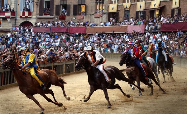 イタリア・シエナ、熱狂的な伝統行事の競馬『パリオ(Palio 
