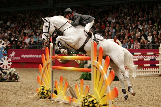 London_international_horse_show_4