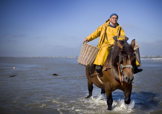 Oostduinkerke_2