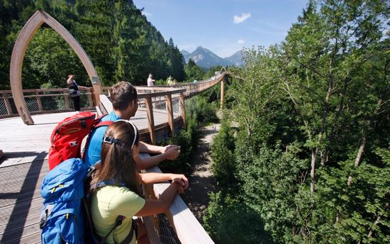 Aussicht-vom-baumkronenweg-im-walderlebniszentrum-ziegelwies