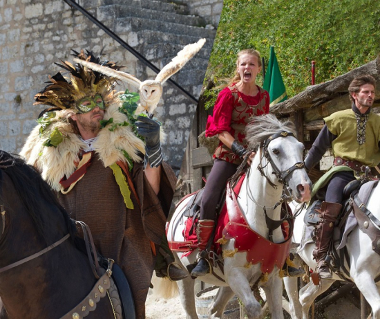 Montage-aigles-chevaliers