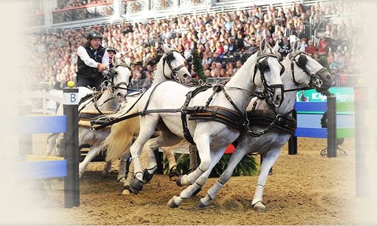 London_international_horse_show_2