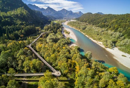 Baumkronenweg_von_oben